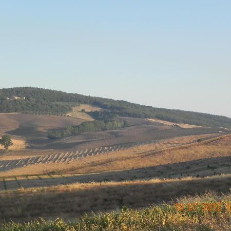 Affittacamere Castello di Grotti Corsano  Esterno foto
