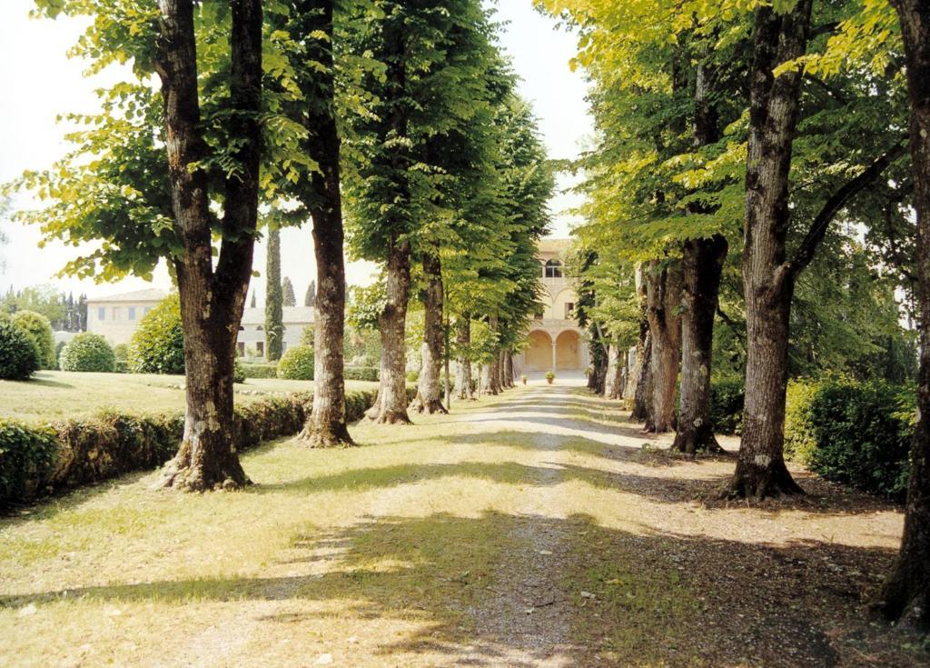 Affittacamere Castello di Grotti Corsano  Camera foto