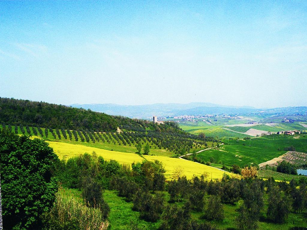 Affittacamere Castello di Grotti Corsano  Camera foto