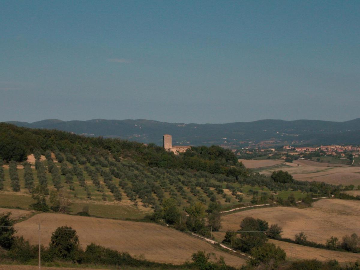 Affittacamere Castello di Grotti Corsano  Esterno foto
